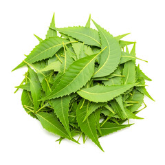 Pile of fresh neem leaves isolated on white background, top view flat lay , ai generated image.