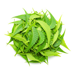 Pile of neem leaves isolated on white background , ai generated image.