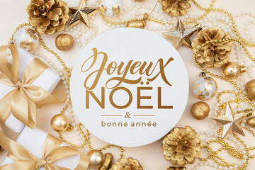Joyeux noel and Bonee Annee. French Merry Christmas Modern calligraphy lettering on sticker for season greetings. Greeting card, frame, and banner. Holidays design.