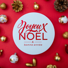 Joyeux noel and Bonee Annee. French Merry Christmas Modern calligraphy lettering on sticker for season greetings. Greeting card, frame, and banner. Holidays design.