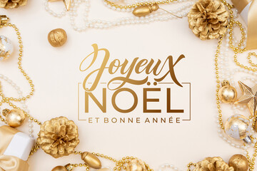 Joyeux noel and Bonee Annee. French Merry Christmas Modern calligraphy lettering on sticker for season greetings. Greeting card, frame, and banner. Holidays design.