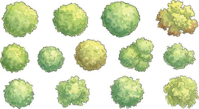 Watercolor tree crowns arrayed in top view for landscaping architecture plans