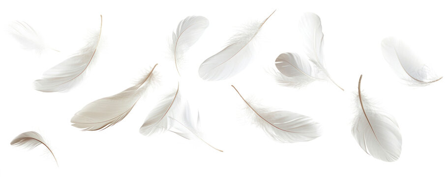 PNG Real white feathers border background floating accessories.