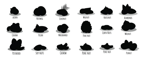  nut icon set cartoon style © Kohur