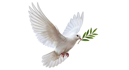 Obraz premium Dove with Olive Branch A Symbol of Hope, Peace, and New Beginnings