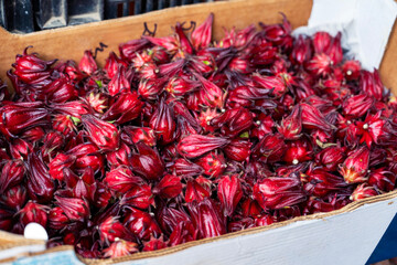 Fresh Harvested Red Roselle (Hibiscus Sabdariffa) in a Box