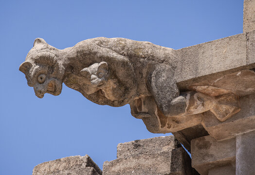 Gargoyle at X&agrave;tiva Castle (Castillo de X&agrave;tiva / Castell de X&agrave;tiva), X&agrave;tiva, Spain