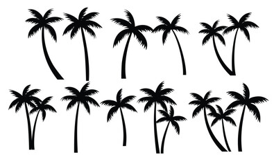 Palm trees silhouettes set. Palm trees isolated on white background.