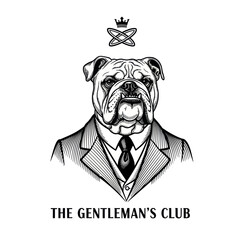 Elegant Bulldog in Suit with Crown and Intertwined Rings Logo.