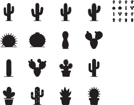 ICONES NORDESTINOS, NORDESTINO, NORDESTE, CEAR&Aacute;, ICONES DO NORDESTE, MANDACARU, CACTO, CACTOS, PLANTAS DA CAATINGA, PLANTAS NORDESTINAS