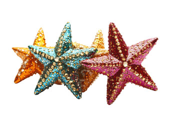 Shining Seastars in Vivid Hue: A collection of vibrant seastars showcase the radiant colors and intricate details, bringing a touch of marine wonder.