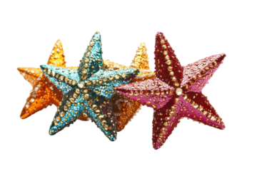 Shining Seastars in Vivid Hue: A collection of vibrant seastars showcase the radiant colors and intricate details, bringing a touch of marine wonder.