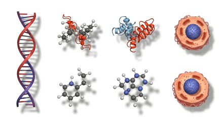 Scientific elements illustrating genetics, chemistry, and biology concepts