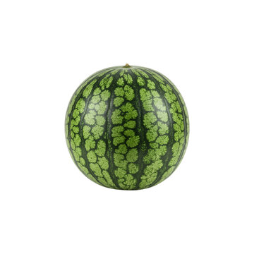 Single Mini Watermelon Isolated on Black