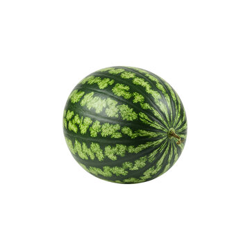 Whole Striped Watermelon on Black Background