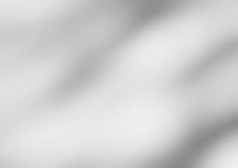 Shadow of leaves tree plant overlay on white wall. Sunlight effect shadow on the wall. Minimal blurred backdrop backgrounds. Summer tropical surface background.