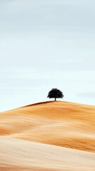 A single dark tree is silhouetted against a pale sky, perched atop a golden, rolling hill with textured, ploughed fields.