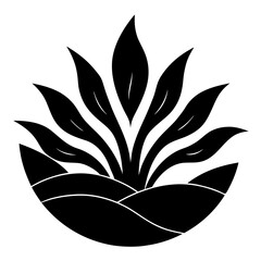 black and white flower