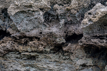 Close-up of porous carbonate rock on a beach. Weathered texture and cavities suggest marine origin. Ideal for geology, coastal, and nature themes.