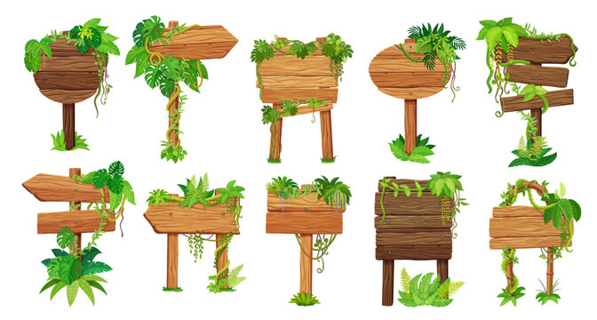 Wooden sign boards with jungle plants and lianas, vector game UI. Cartoon wooden sign boards or signboards with wood panels and planks, jungle forest plant leaves and flowers, liana vines and grass
