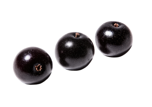 Three deep-purple, round, shiny berries arranged in a horizontal row against a black background.  Each berry has a slightly lighter, glossy center and a small, light-brown stem or pip visible