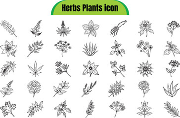 Herbs & Plants Icon Set