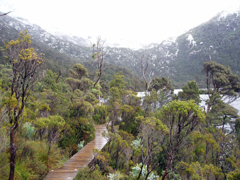 View along the side of Dove Lake, Cradle Mountain, Lake St Clair, National Park, Tasmania Australia
