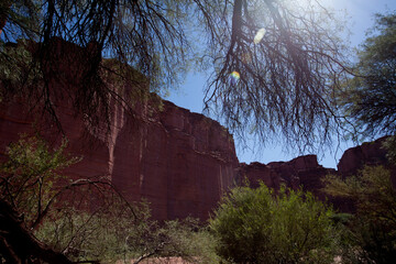 Detail of rocks in Talampaya national Park in Argentine.