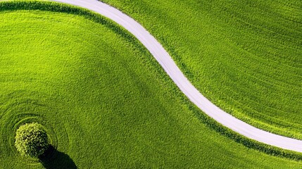 An aerial perspective captures a bright white road curving through a lush, verdant green field, with a solitary tree standing prominently and casting a distinct