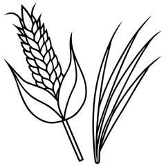 Simple outline drawing of a wheat stalk and grass blades