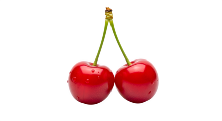 Two ripe red cherries with stems hanging together isolated on transparent background