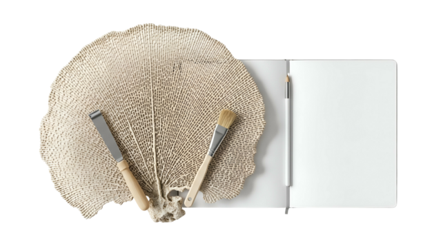 Flat lay of natural patterned object with craft tools and open blank notebook on transparent background studio lighting overhead view