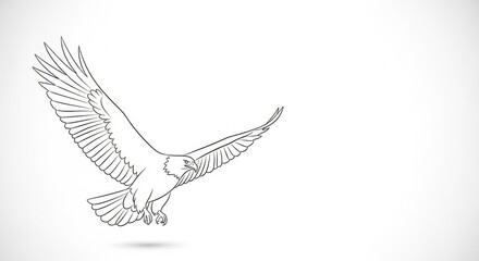 Obraz premium Flying eagle line art illustration. Majestic bird with spread wings. Graphic design element for logo or educational material.