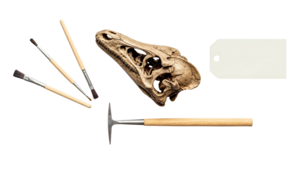 Fossilized Dinosaur Skull With Paleontologist Tools And A Blank Tag On A Transparent Background