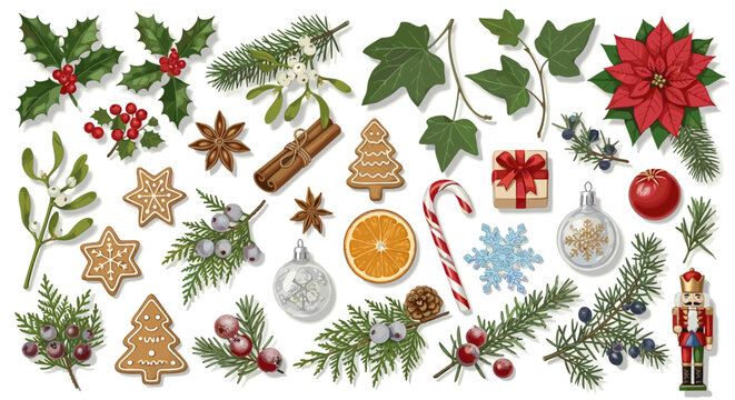 Assorted christmas themed decorations including plants and ornaments laid out
