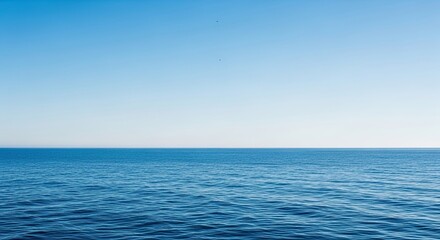 A serene and minimalist seascape featuring the calm deep blue ocean meeting a clear gradient sky at the horizon with two distant birds flying on a beautiful sunny day