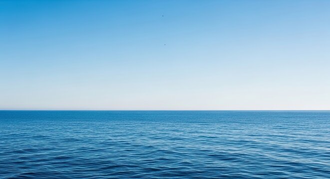 A serene and minimalist seascape featuring the calm deep blue ocean meeting a clear gradient sky at the horizon with two distant birds flying on a beautiful sunny day - Powered by Adobe