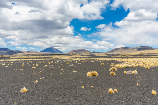 Paisajes de mendoza