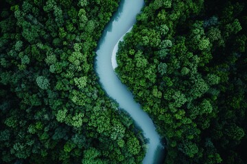 A rushing river cutting through a dense forest, styled for natural beauty and motion