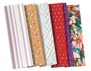 Creative Stationery Collection, Transparent Background.