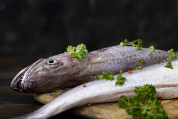 Fresh European hake fish on wooden board with parsley, Raw uncooked Merluccius merluccius close-up