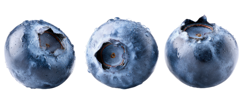 Close-up of three blueberries, displaying their texture and natural variation