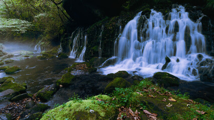 Obraz premium waterfall in the forest