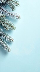 Frosty pine branches on blue background.