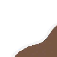 Brown Minimalist Torn Paper Background