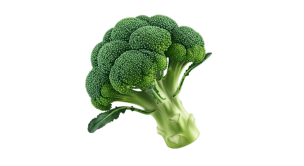 Vibrant Fresh Broccoli Head for Healthy Diet, Cooking, and Nutritious Veggie Meals Everyday