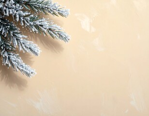 Obraz premium Snowy pine branch on soft beige background.