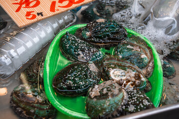 Obraz premium A green tray holds live abalones in a shallow market tank, shells wet with foam and salt, a red price sign above at a Tokyo stall, travel and food culture on display.