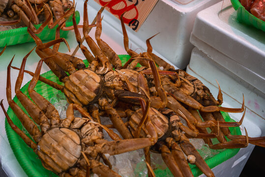 Close up of live or fresh crabs belly up on ice in green trays at a Tokyo market, legs and undersides visible, shoppers browse for sashimi grade seasonal catch.