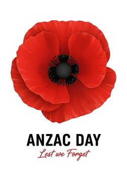 Red poppy flower for anzac day lest we forget memorial